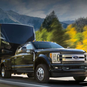 Meet your Posher, Donna